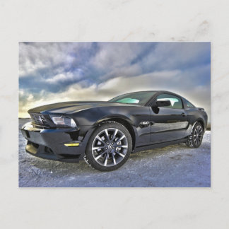 Mustang-Postkarte Postkarte