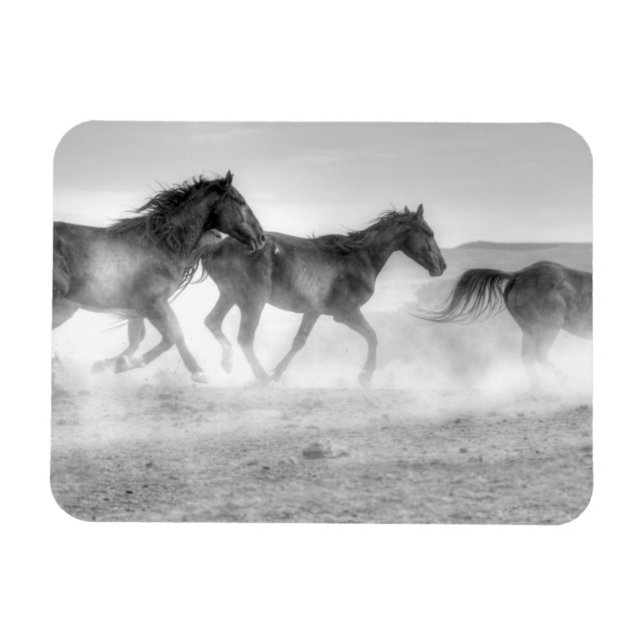 Mustang Run Magnet (Horizontal)