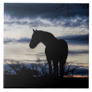 Mustang und Storm Fine Art Fliese