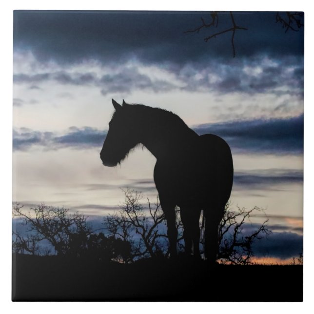 Mustang und Storm Fine Art Fliese (Vorderseite)