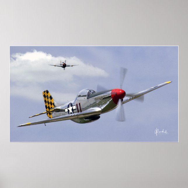 Mustang und Thunderbolzen Poster (Vorne)