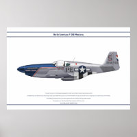 Mustang USA 328FS 1