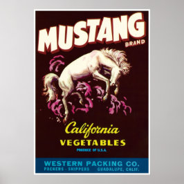 Mustang Wild Horse Guadalupe Poster