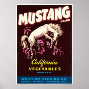 Mustang Wild Horse Guadalupe Poster