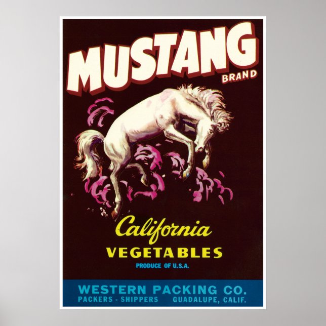 Mustang Wild Horse Guadalupe Poster (Vorne)