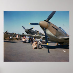 Mustangs P-51 Poster