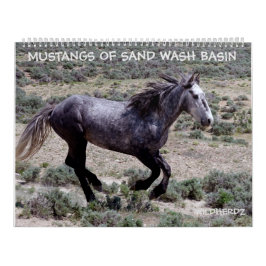 Mustangs vom Sandwaschbecken Colorado Kalender