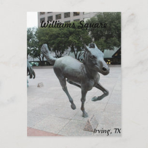Mustangs von Las Colinas # 11 Postkarte