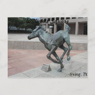 Mustangs von Las Colinas # 13 Postkarte