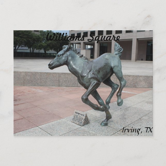 Mustangs von Las Colinas # 13 Postkarte (Vorderseite)