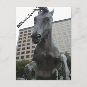 Mustangs von Las Colinas # 17 Postkarte