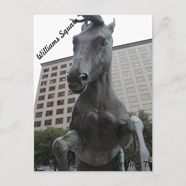 Mustangs von Las Colinas # 17 Postkarte (Vorderseite)