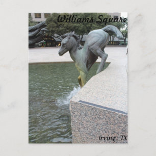 Mustangs von Las Colinas # 18 Postkarte