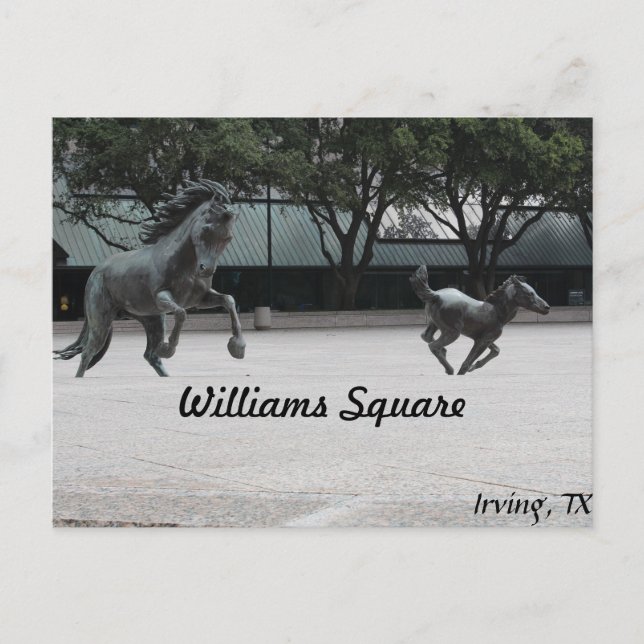 Mustangs von Las Colinas # 19 Postkarte (Vorderseite)