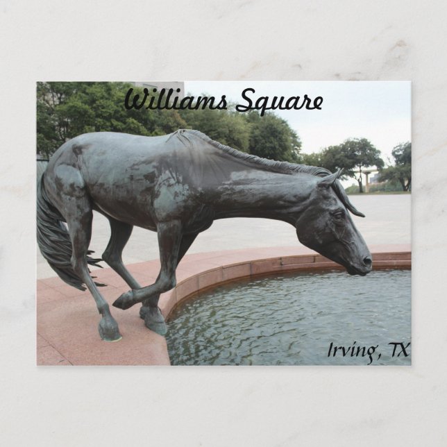Mustangs von Las Colinas # 1 Postkarte (Vorderseite)