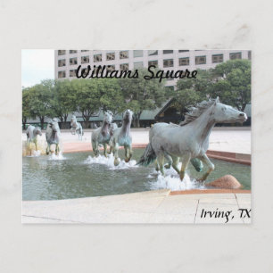 Mustangs von Las Colinas # 21 Postkarte