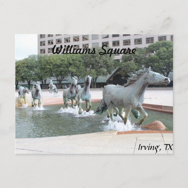 Mustangs von Las Colinas # 21 Postkarte (Vorderseite)