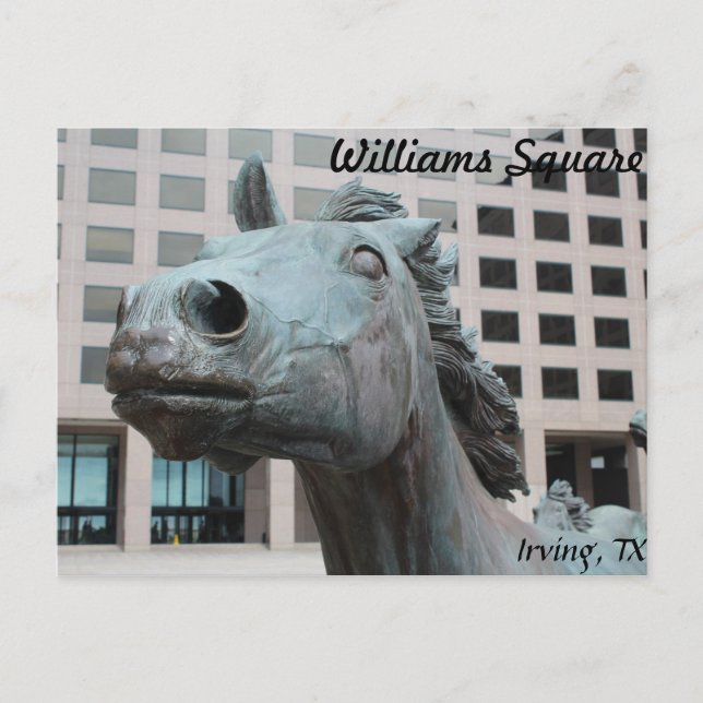 Mustangs von Las Colinas # 22 Postkarte (Vorderseite)