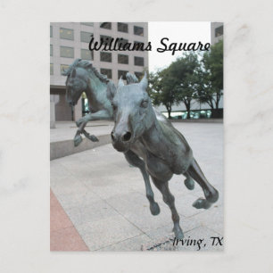 Mustangs von Las Colinas # 29 Postkarte