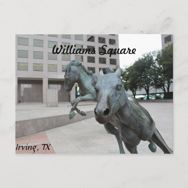 Mustangs von Las Colinas # 9 Postkarte (Vorderseite)