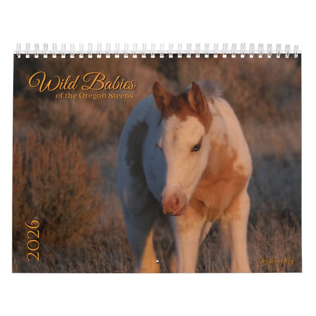MustangWild 2026 "Wilde Babys" Kalender (Titelbild)