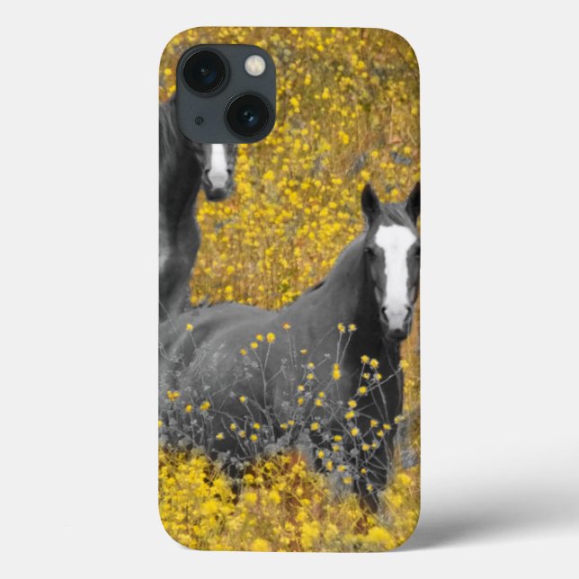 Mustard and Horses Case-Mate iPhone Hülle (Rückseite)