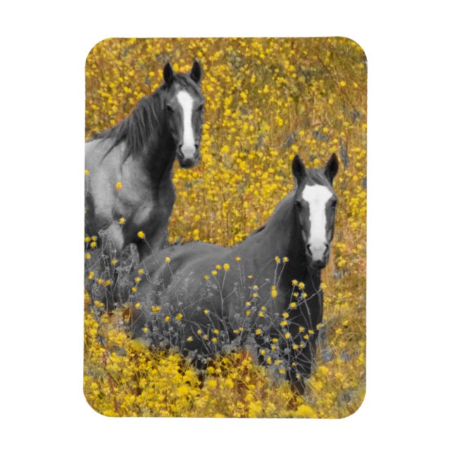 Mustard and Horses Magnet (Vertikal)