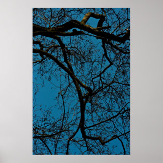 Muster am Himmel Poster