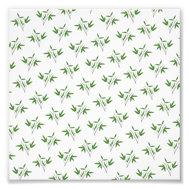 Muster aus Bambuszweigen Fotodruck (Vorne)