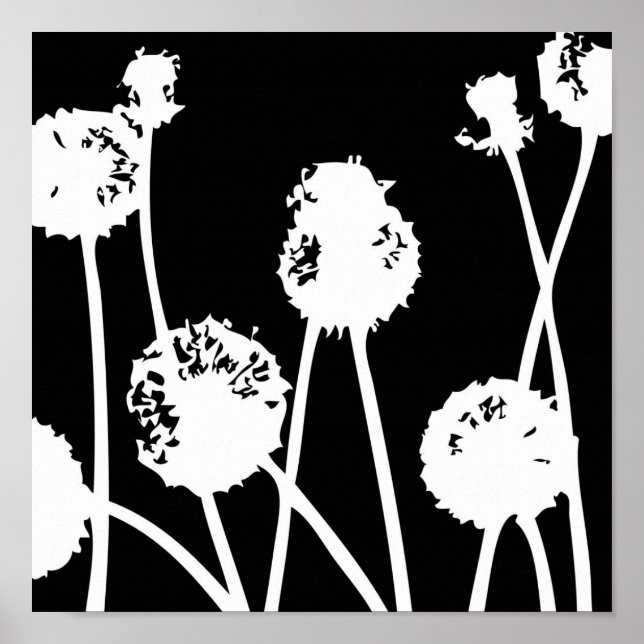 Muster aus der Natur 26 Poster (Vorne)