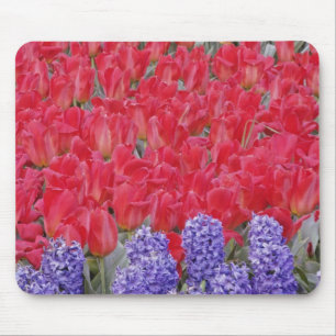 Muster aus Hyazinthen, Tulpen und Narzissen, Mousepad