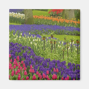 Muster aus Tulpen, Hyazinthen und Traubenhyazinthe Magnet