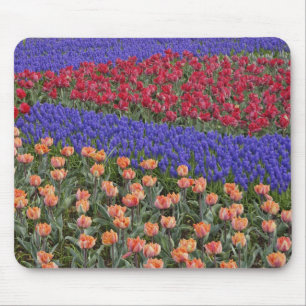 Muster aus Tulpen und Traubenhyazinthenblüten, 3 Mousepad