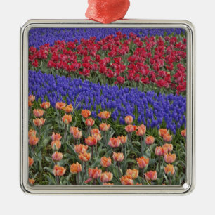 Muster aus Tulpen und Traubenhyazinthenblüten, 3 Ornament Aus Metall