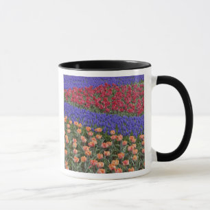 Muster aus Tulpen und Traubenhyazinthenblüten, 3 Tasse