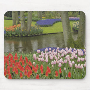 Muster aus Tulpen und Traubenhyazinthenblüten, Mousepad