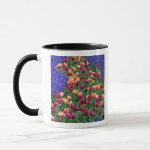 Muster aus Tulpen und Traubenhyazinthenblüten, Tasse