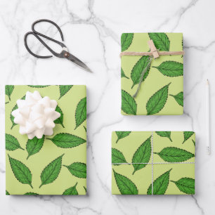 Muster der Blätter, Leaf-Muster, Frühjahrsvorschau Geschenkpapier Set