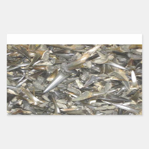 Muster der fossilen Haie Rechteckiger Aufkleber