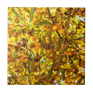 Muster der Herbstblätter Fliese