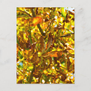 Muster der Herbstblätter Postkarte