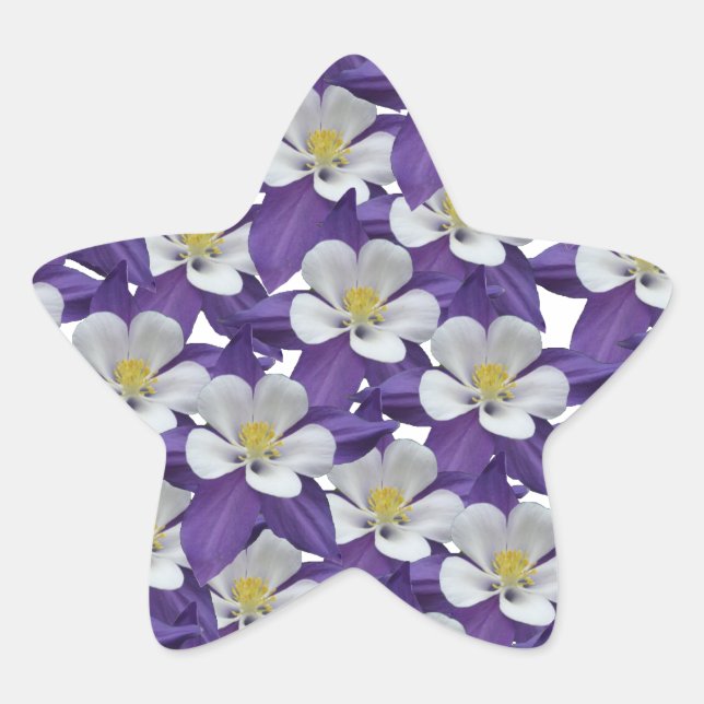 Muster der kolumbianischen Blume Stern-Aufkleber (Vorderseite)