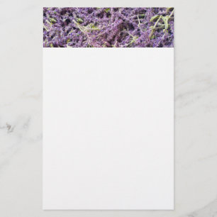 Muster der Lavendel-Blume Briefpapier