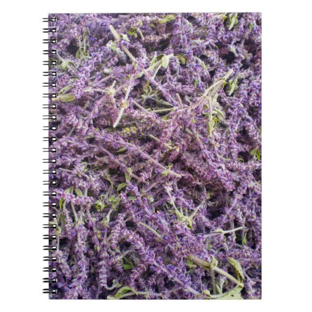 Muster der Lavendel-Blume Notizblock (Vorderseite)