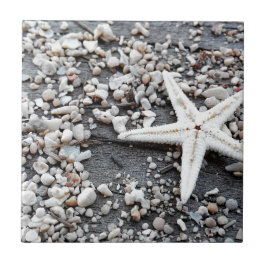 Muster der Muschel im Küstenmeer Fliese