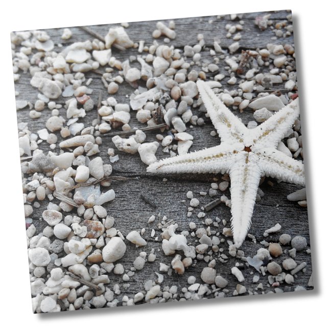 Muster der Muschel im Küstenmeer Fliese (Nautical White Starfish Shell Gray Sand Beach Ceramic Tile)