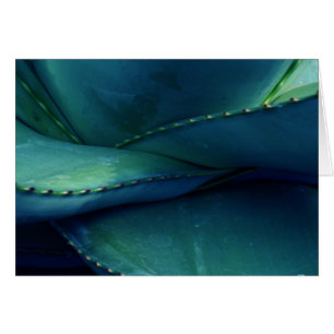 Muster der Natur