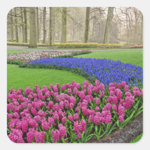 Muster der Traubenhyazinthe, Tulpen und 2 Quadratischer Aufkleber