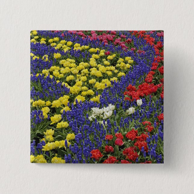 Muster der Tulpen und der Blume des Weintraubs, 2 Button (Vorderseite)