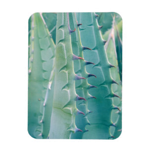 Muster einer Agave Magnet